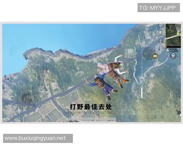 和平精英焦点FPX团队协作策略与实战经验的深入探讨与分析